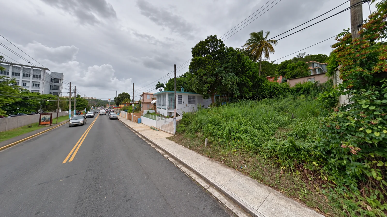 Existing overgrown lot and neighboring street in Fajardo with foreground cars and map arrows removed